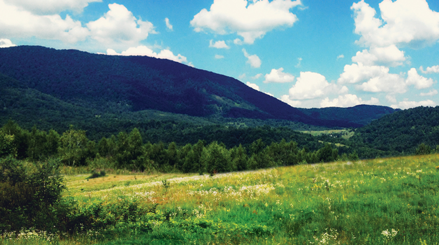 litnya-shkola-ajkido-bukivcevo-2015