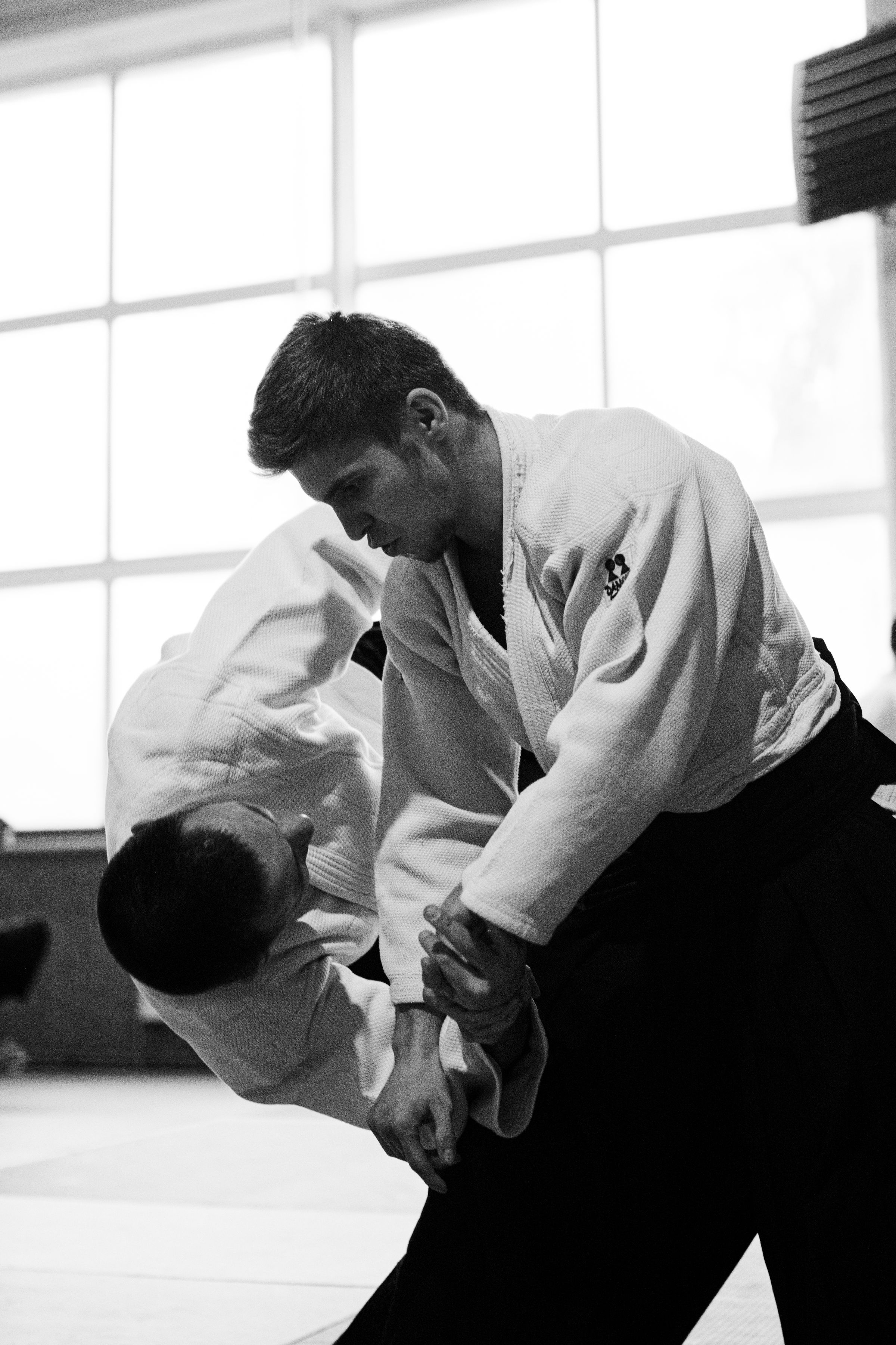 aikido-trainer