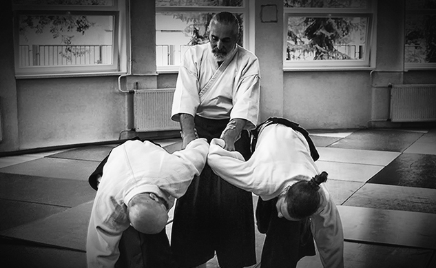 aikido-trainer