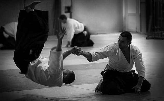 aikido-trainer