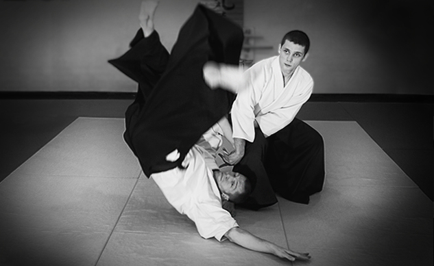 aikido-trainer